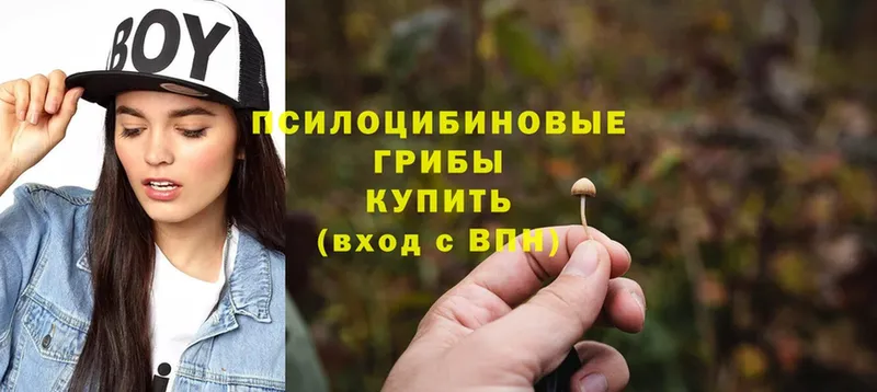 Псилоцибиновые грибы GOLDEN TEACHER  площадка официальный сайт  Аткарск 